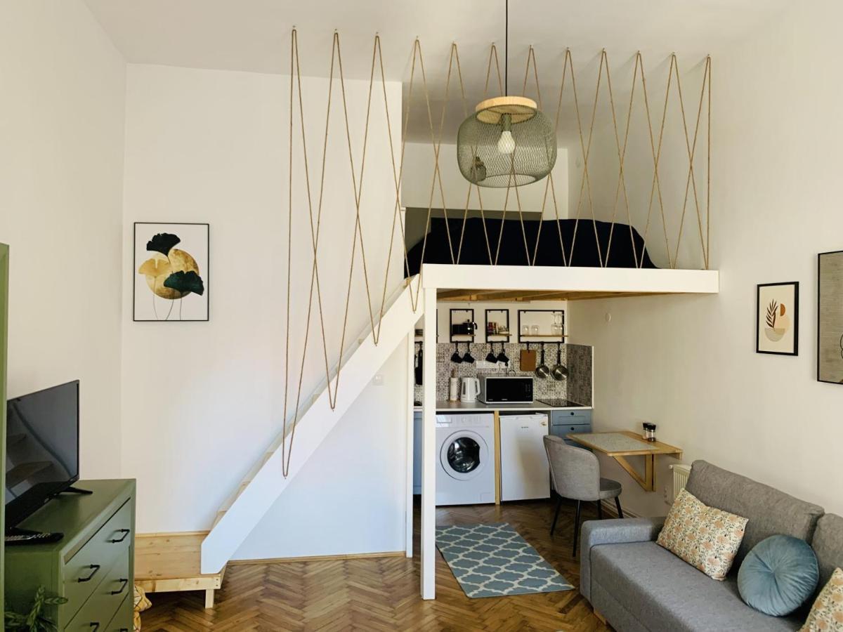 1900 Vetus Central Apartment 克卢日-纳波卡 外观 照片