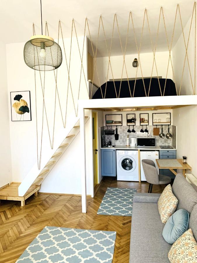 1900 Vetus Central Apartment 克卢日-纳波卡 外观 照片