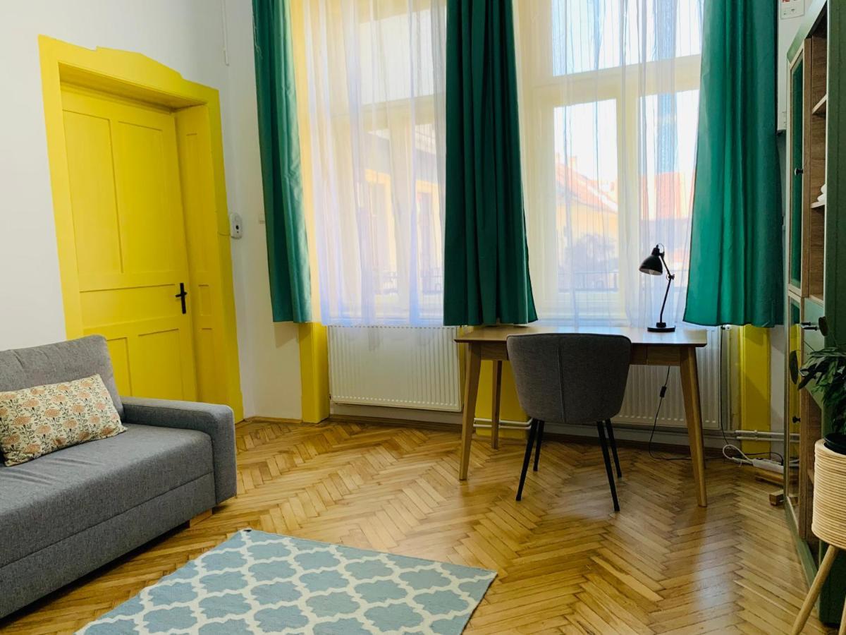 1900 Vetus Central Apartment 克卢日-纳波卡 外观 照片