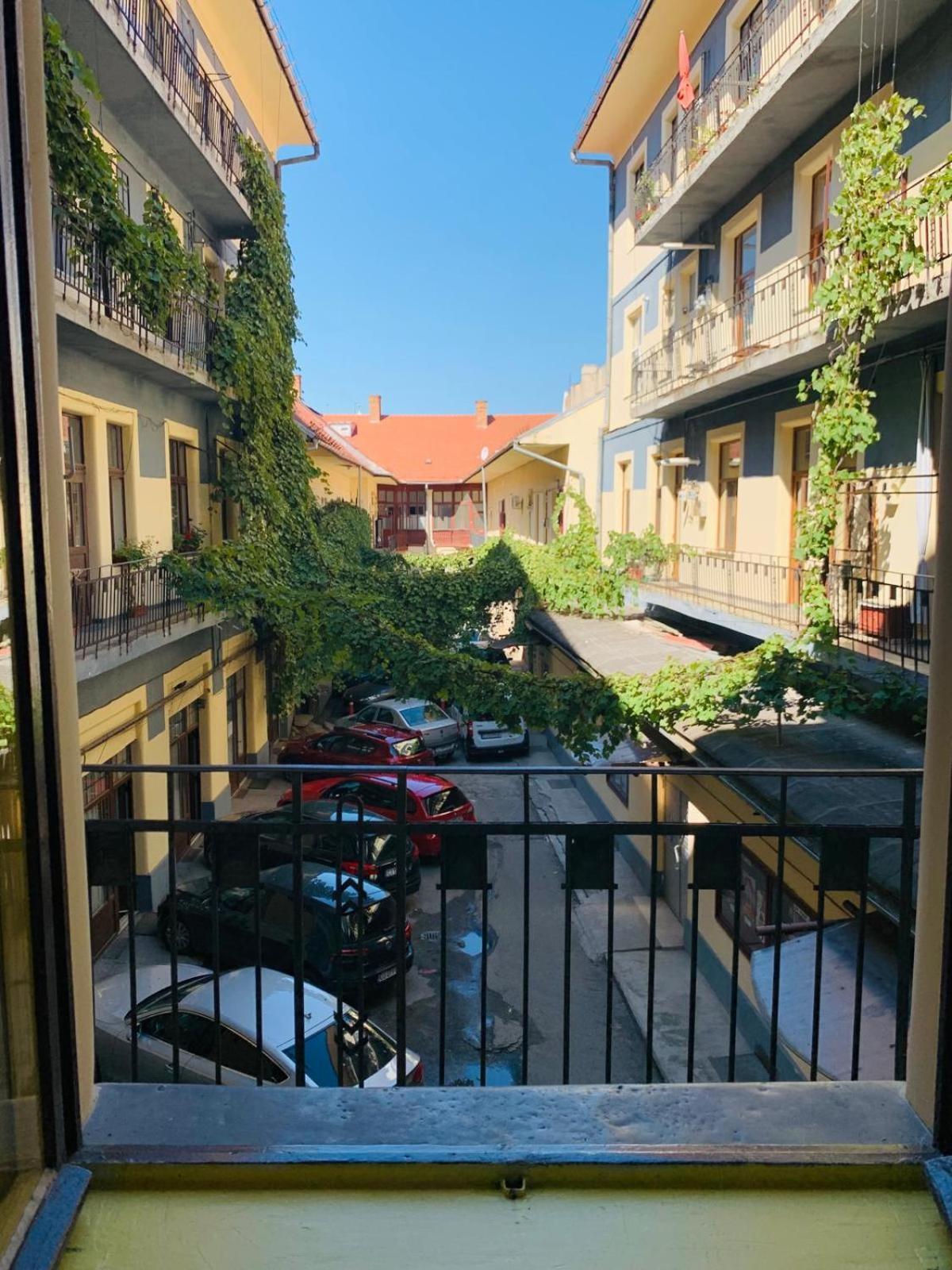 1900 Vetus Central Apartment 克卢日-纳波卡 外观 照片